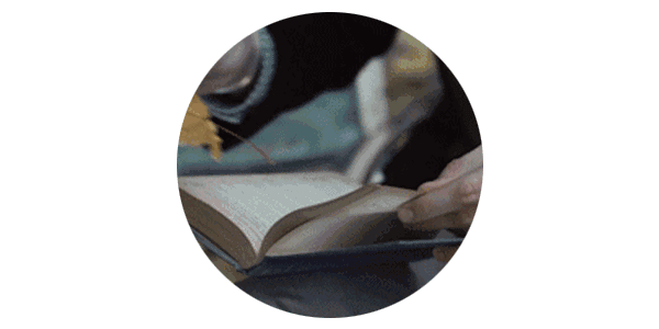 3.gif