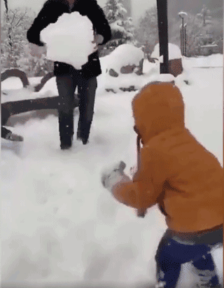 640 (6).gif